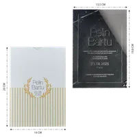 Vellum Overlay Wedding Invitation with Gold Stripes